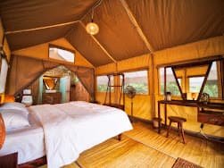 Standard Safari Tent