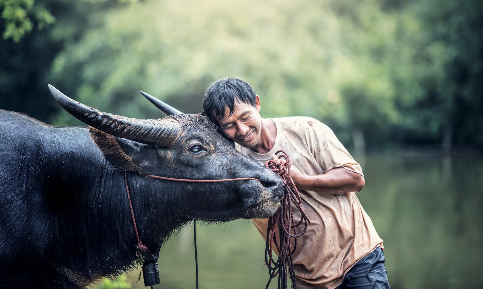 Die emblematischen Tiere Kambodschas