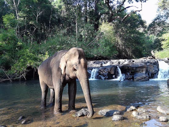 Mondulkiri: eine Region Kambodschas, die einen Besuch wert ist