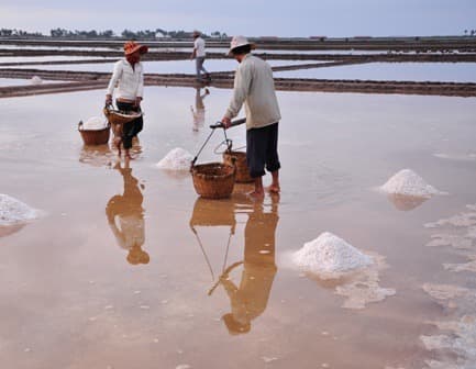 Die Salzwiesen von Kampot